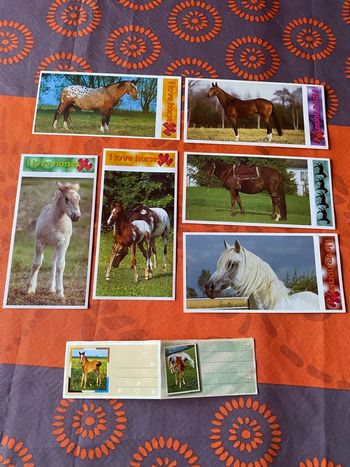 Lot de Stickers chevaux