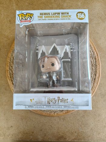 156 Remus Lupin with the shrieking shack 