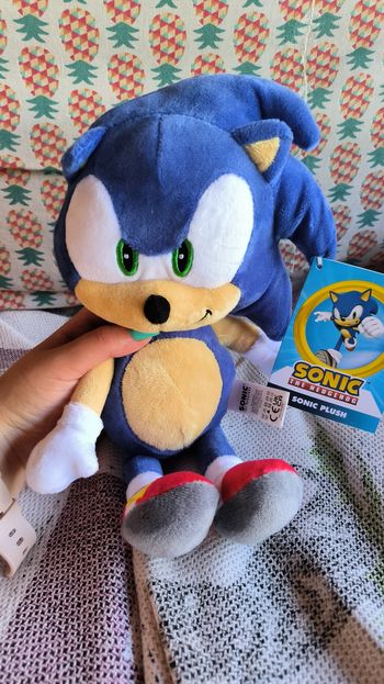 Sonic 💙