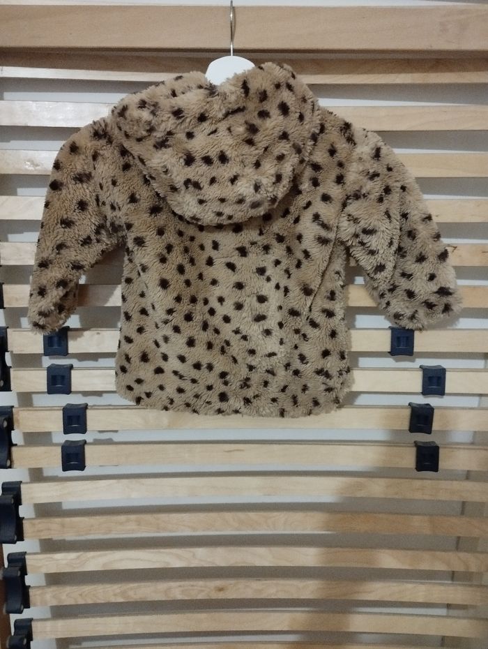 Manteau - photo numéro 2