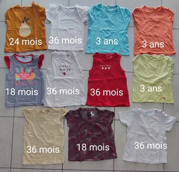 Lot T-shirt été fille