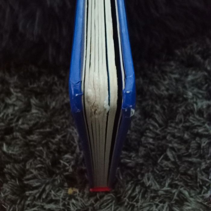 Livre bébé enfant - Tommy - photo numéro 5