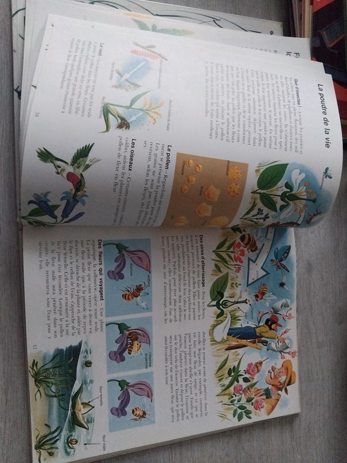 Le livre de la vie - photo numéro 3