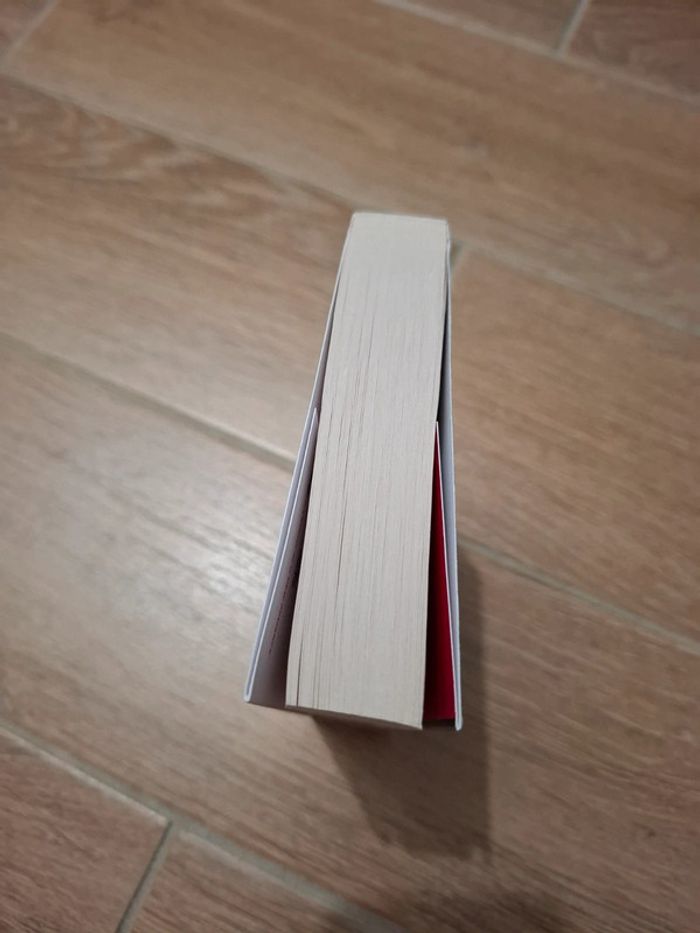 Livre de poche Scandale de L.J Shen - photo numéro 5