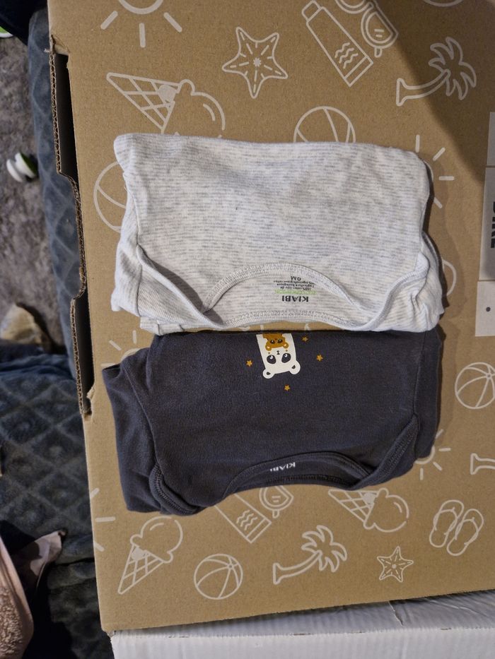 Lot 2 Bodies manche longue 9 mois - photo numéro 2