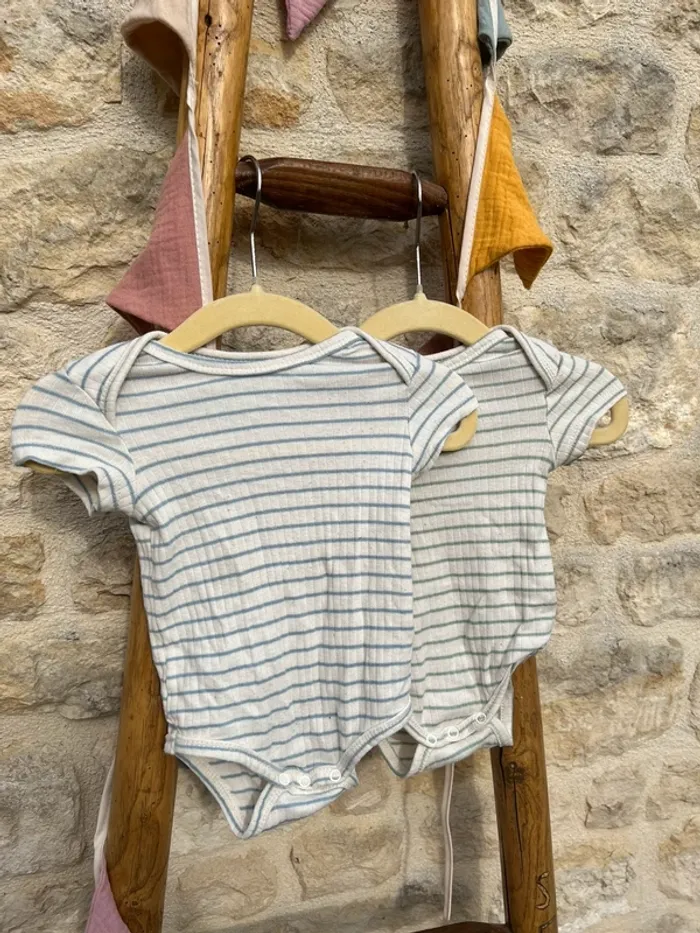 Lot 2 bodies