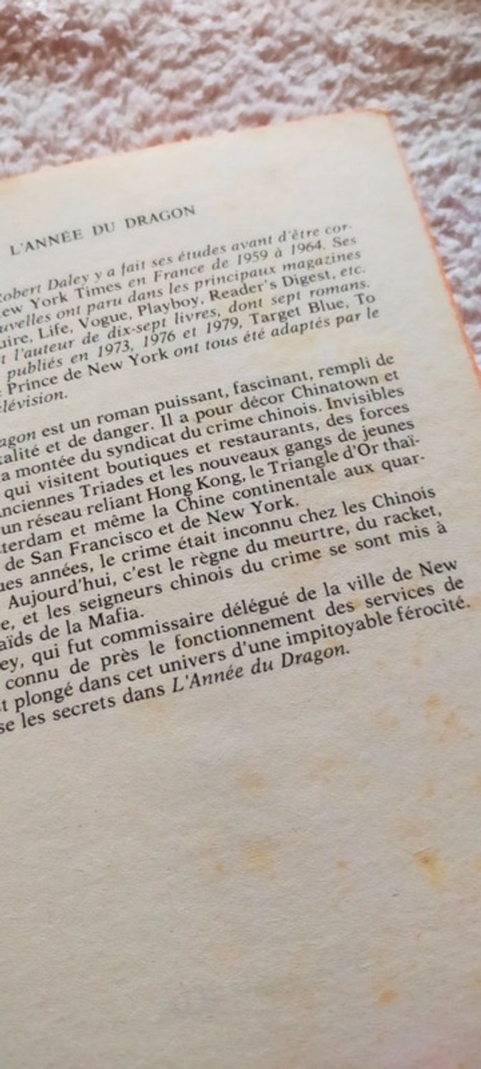L'année du dragon de Robert Daley - photo numéro 3