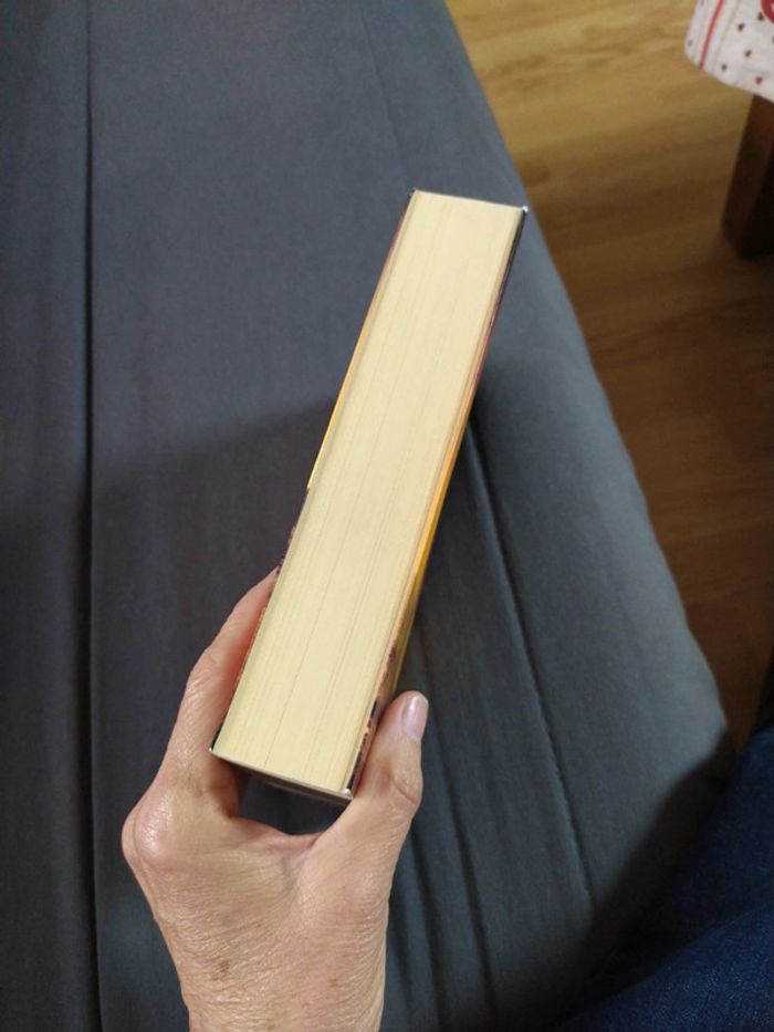 Yeruldelgger de Ian Manook - photo numéro 4