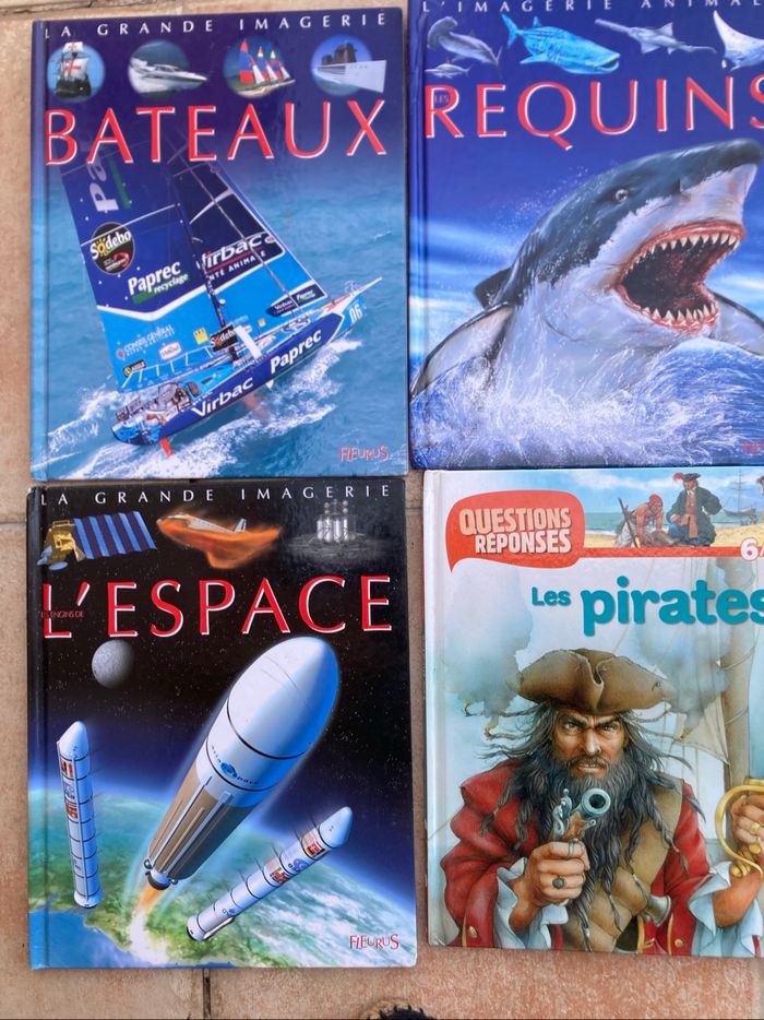 Lot de 9 livres enfants 4/8 ans