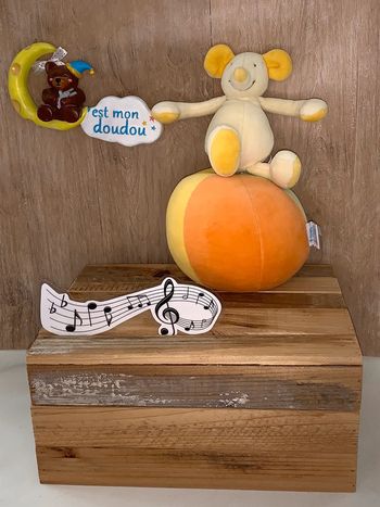 Doudou musical 🎶 souris et ballon de moulin Roty