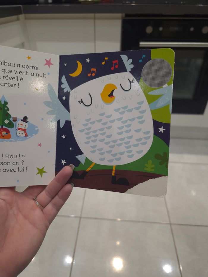 Joue avec des amis de l'hiver - photo numéro 8