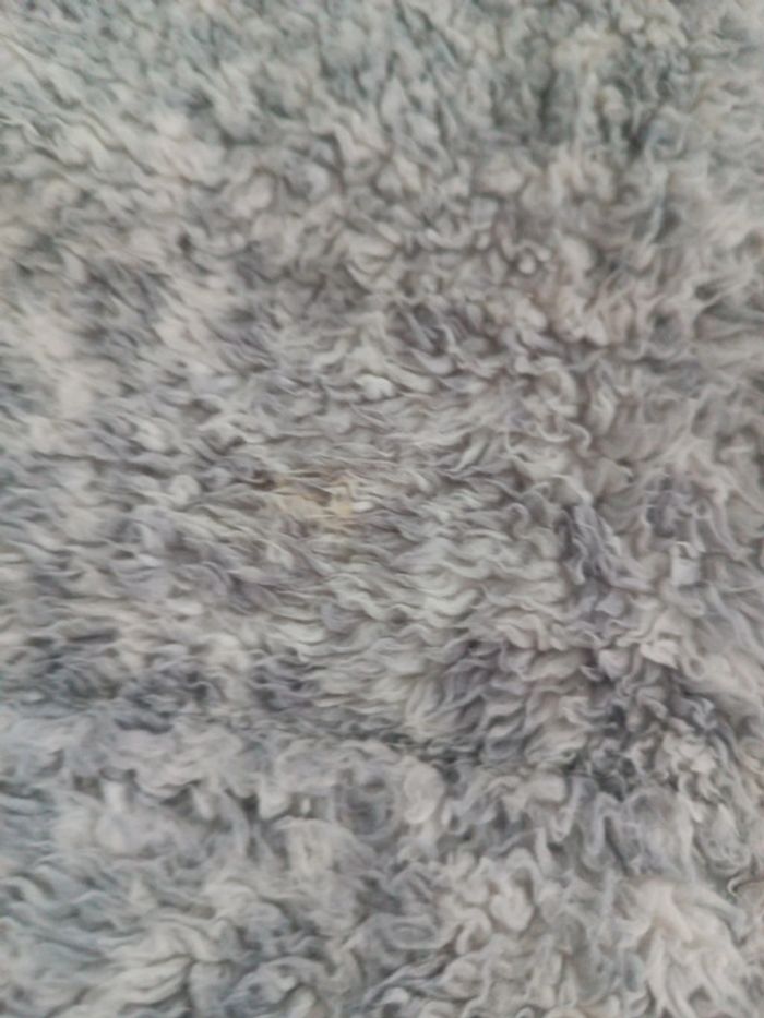 Veste polaire - photo numéro 2