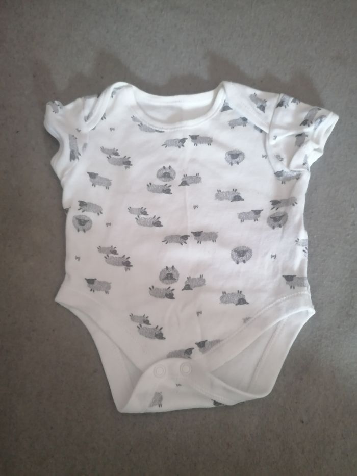 Lot de bodies manches courtes taille 0 à 3 mois - photo numéro 3