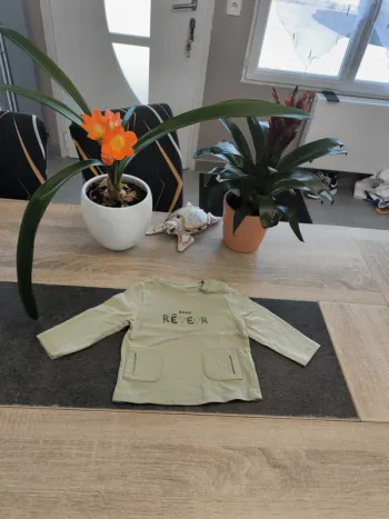 Tee-shirt garçon ml 6 mois Tao