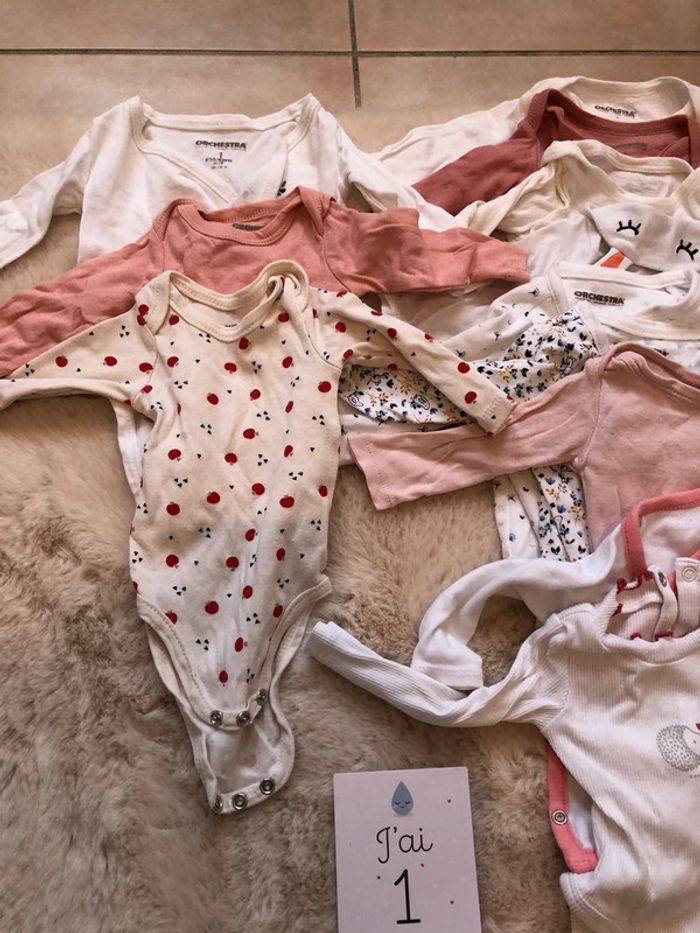 Lot 11 body manche longue - photo numéro 2