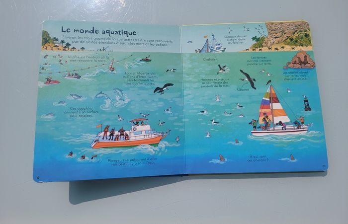 P'tits curieux Usborne 🌎 Notre Terre 🌎 80 rabats - photo numéro 6