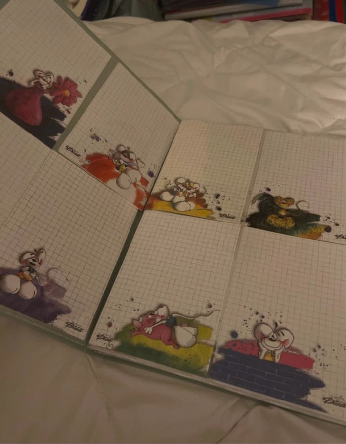 Porte-vue 100 feuilles Diddl 🐭💚 - photo numéro 3