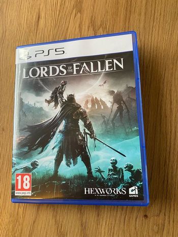 Jeu PS5 Lord Of the Fallen