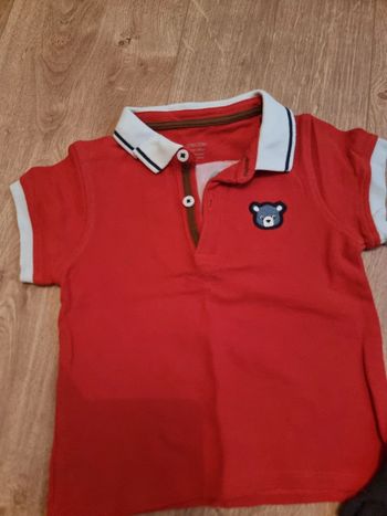 Polo obaibi