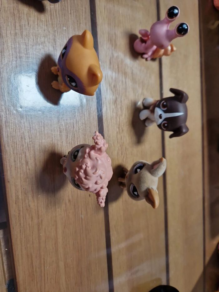 Lot Petshop (1) - photo numéro 6