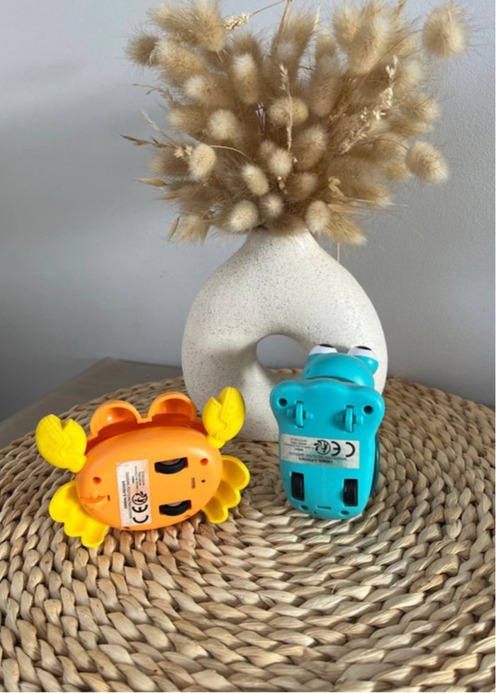 Crabe et escargot qui avance - photo numéro 3