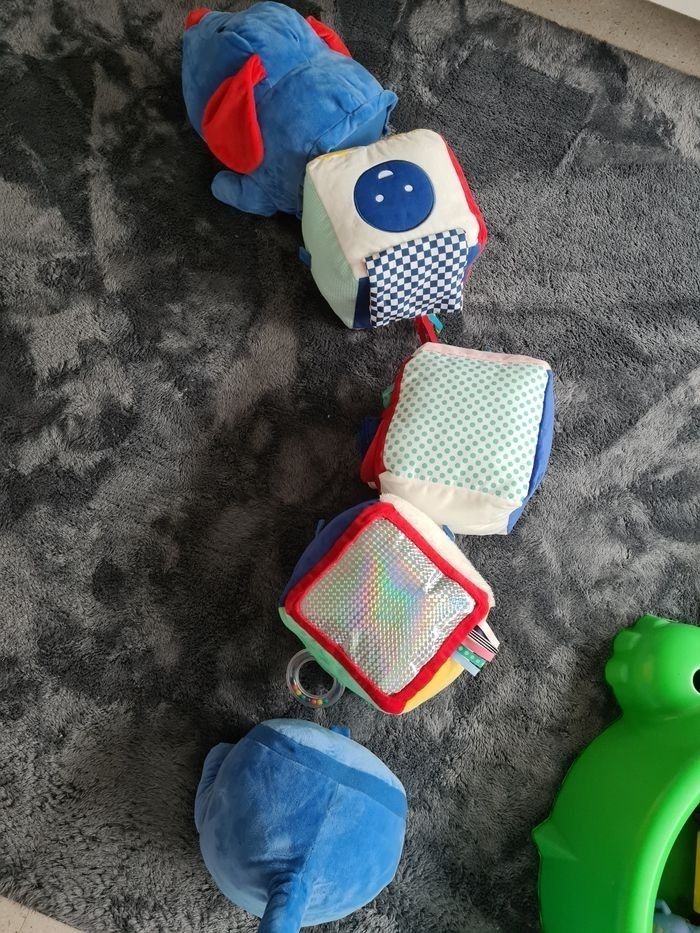 Chien activité - photo numéro 6