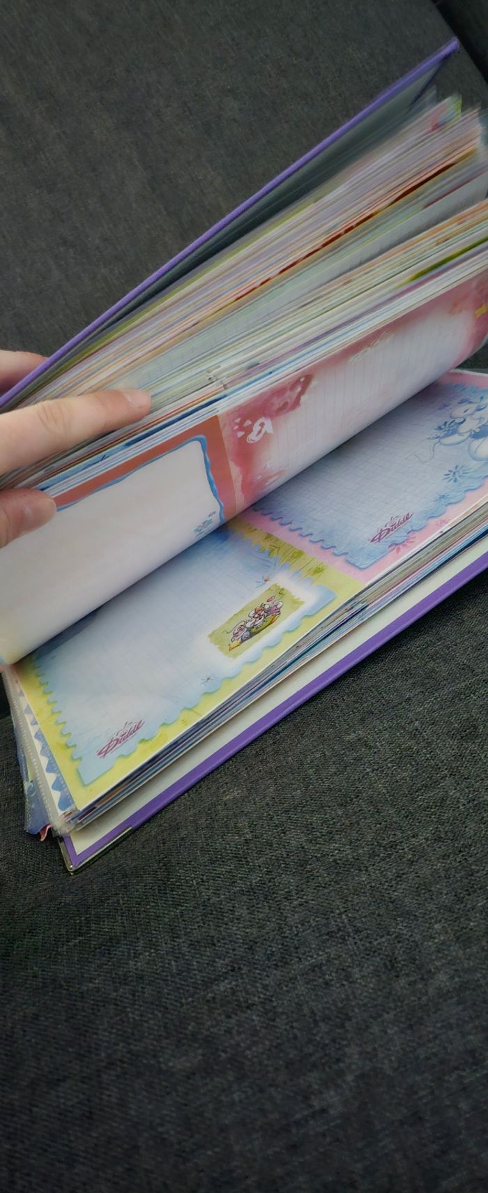 Classeur diddl - photo numéro 3