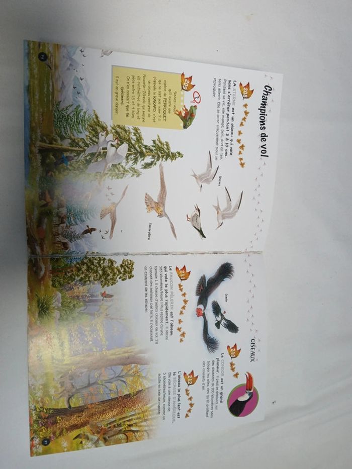 Livre 500 questions et réponses sur les animaux - photo numéro 4