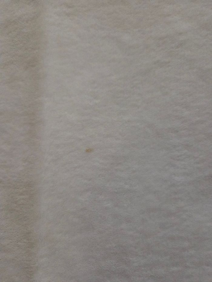 Alèse 1 personne - photo numéro 2