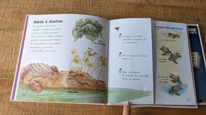 Lot de 2 livres Quizz "Bébés animaux" et "la Terre" - photo numéro 3