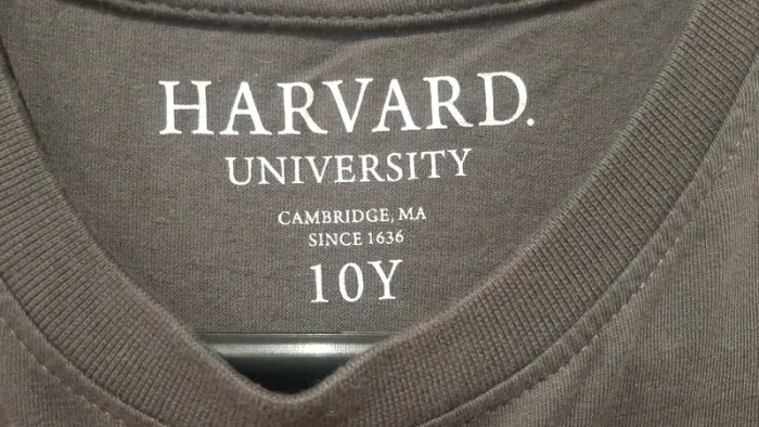 Tee-Shirt Harvard - photo numéro 3
