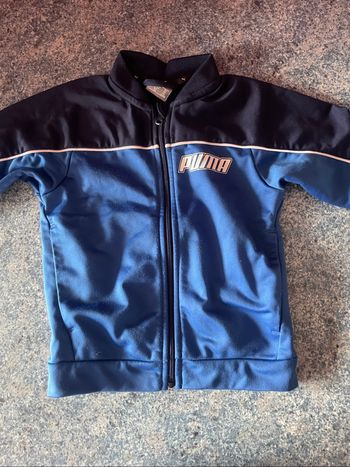 Ensemble puma