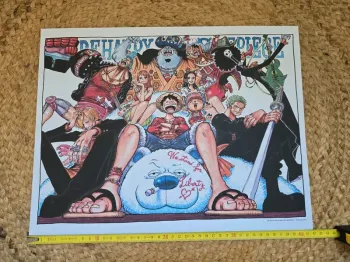 Affiche collector One Piece - We stand for liberty (sans cadre)