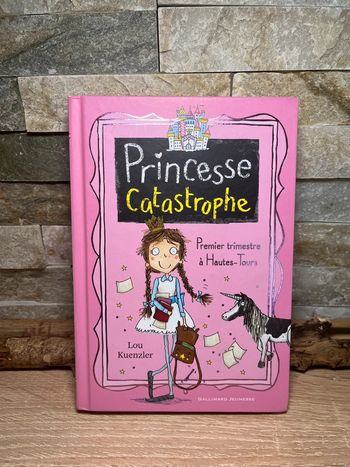 Livre Princesse Catastrophe