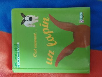 Livre enfant