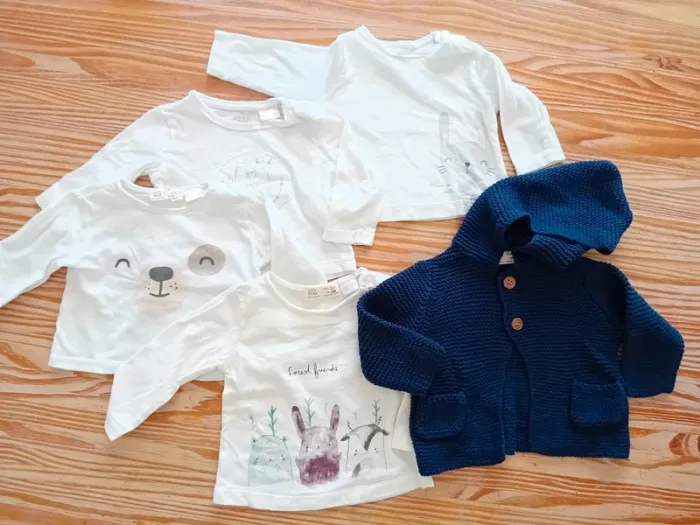 Lot de petits tee-shirts manches longues aux animaux et gilet léger à capuche en maille douce