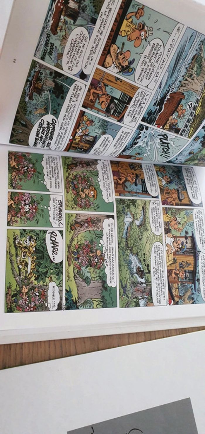 Bandes dessinée - photo numéro 3