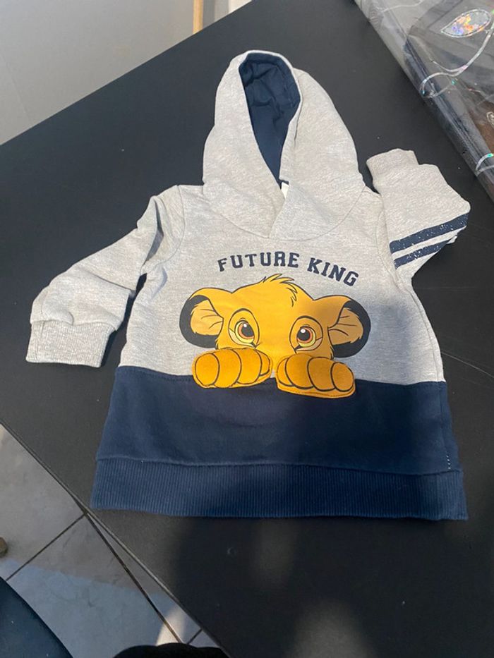 Pull capuche roi lion