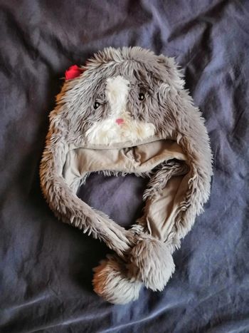 Bonnet chat