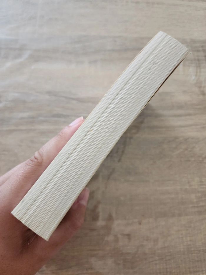 Livre de poche "le cri" de Nicolas Beuglet - photo numéro 6
