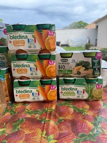Lot de petits pots bébé Blédina – dès 4/6 mois