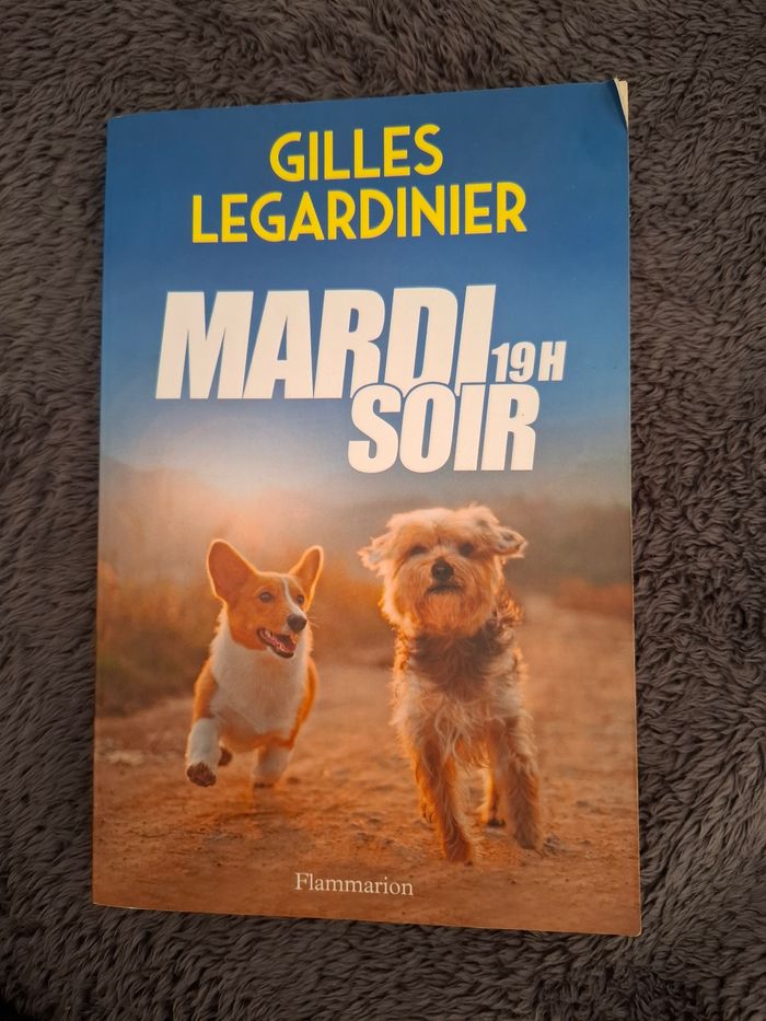 Roman de Gilles Legardinier Mardi soir 19h en bon état