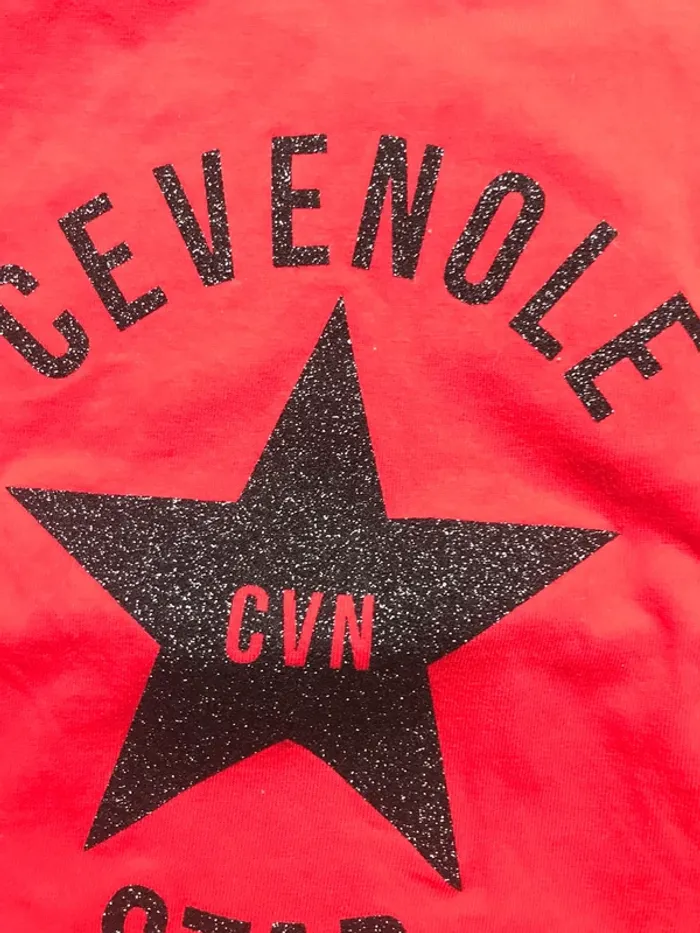 Tee shirt CVN - photo numéro 2