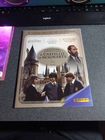 harry potter panini