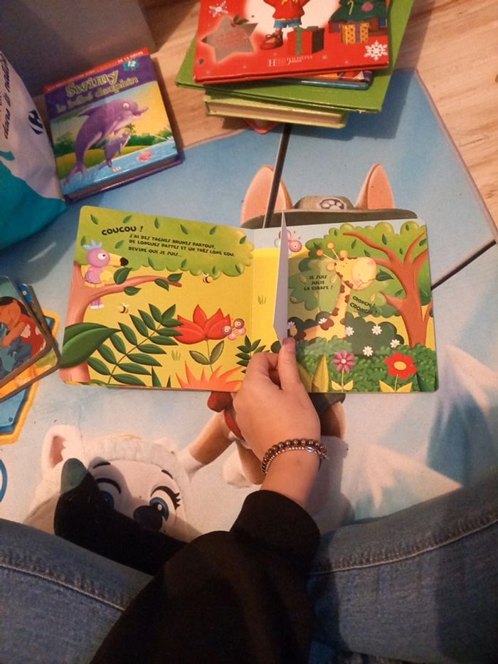 Livre flip flash au zoo - photo numéro 3