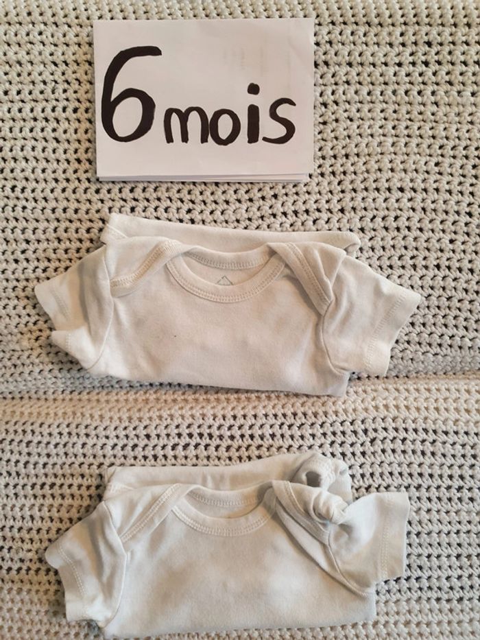 Lot 2 bodys bébé 6 mois pat et ripaton