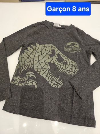 Haut 8 ansT-shirt manches longues gris avec flocage vert dinosaure. 
Marque : Jurassic Word 
Taille : 8 ans