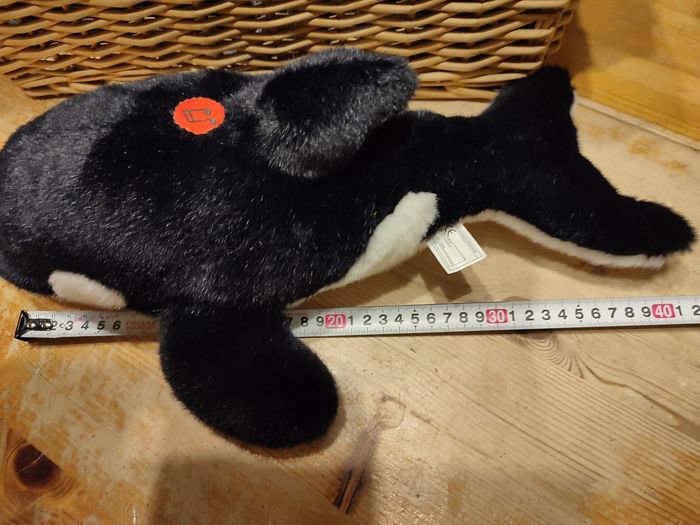 Orque - photo numéro 6