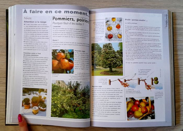 livre de bord du jardinier - photo numéro 6