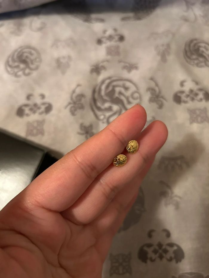 Puces d’oreilles dorée - photo numéro 6